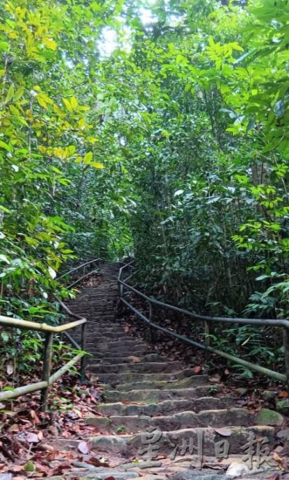 **已签发**柔:封面:【特稿】:金山瀑布景区重新开放,一起来场“森林浴”吧!