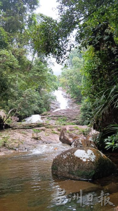 **已签发**柔:封面:【特稿】:金山瀑布景区重新开放,一起来场“森林浴”吧!