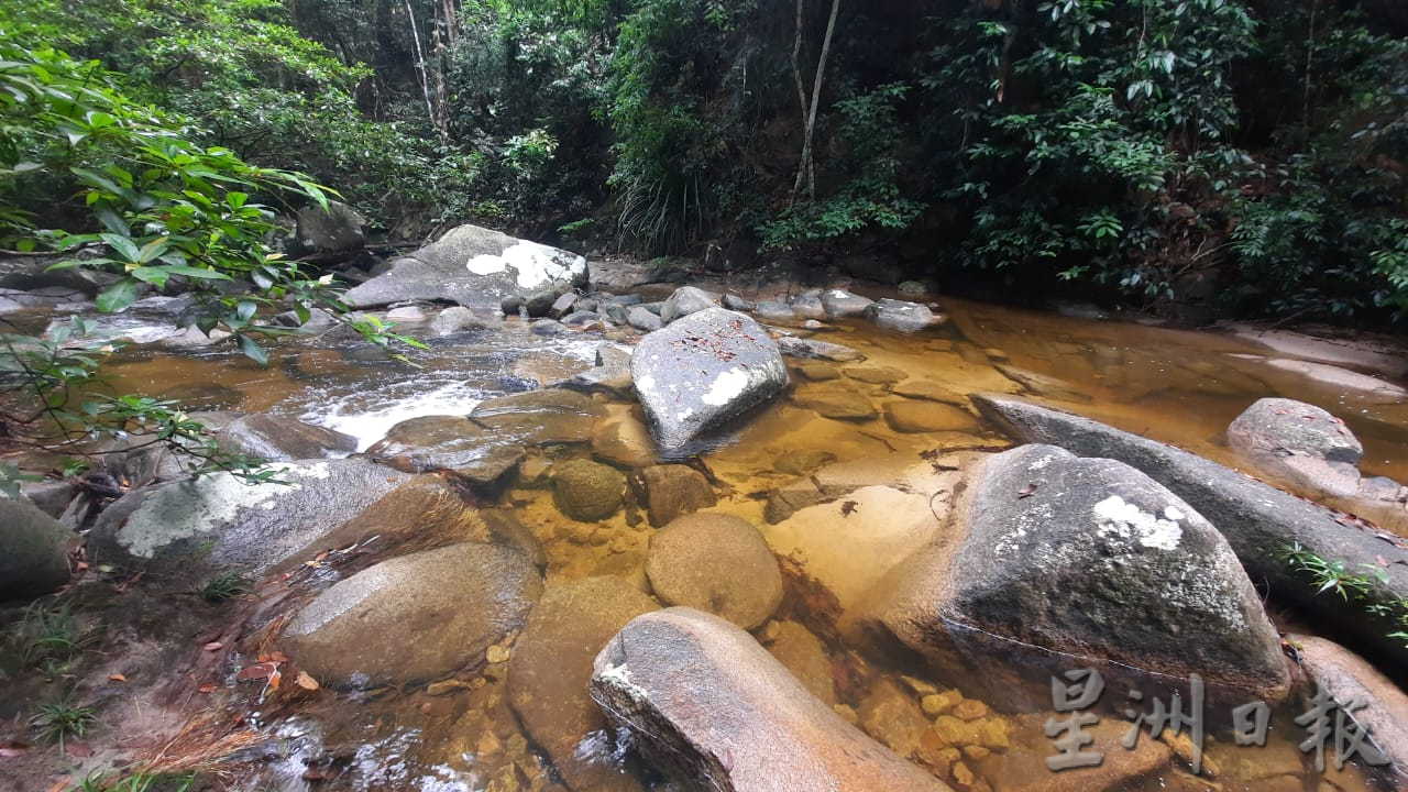 **已签发**柔:封面:【特稿】:金山瀑布景区重新开放,一起来场“森林浴”吧!
