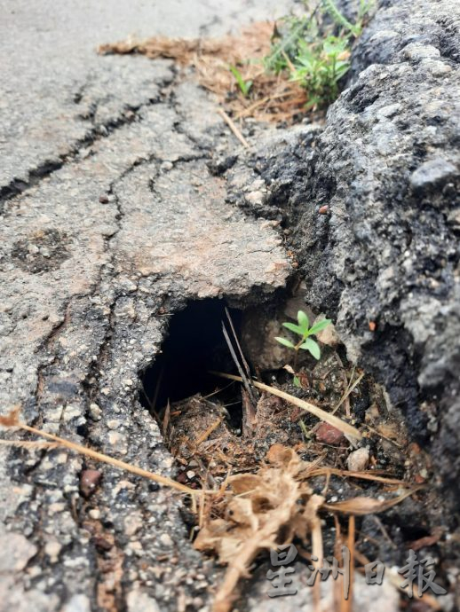 **已签发**柔:第二版头条:【民生特工队】:全长2公里却多处龟裂下陷,居民盼当局尽速维修道路