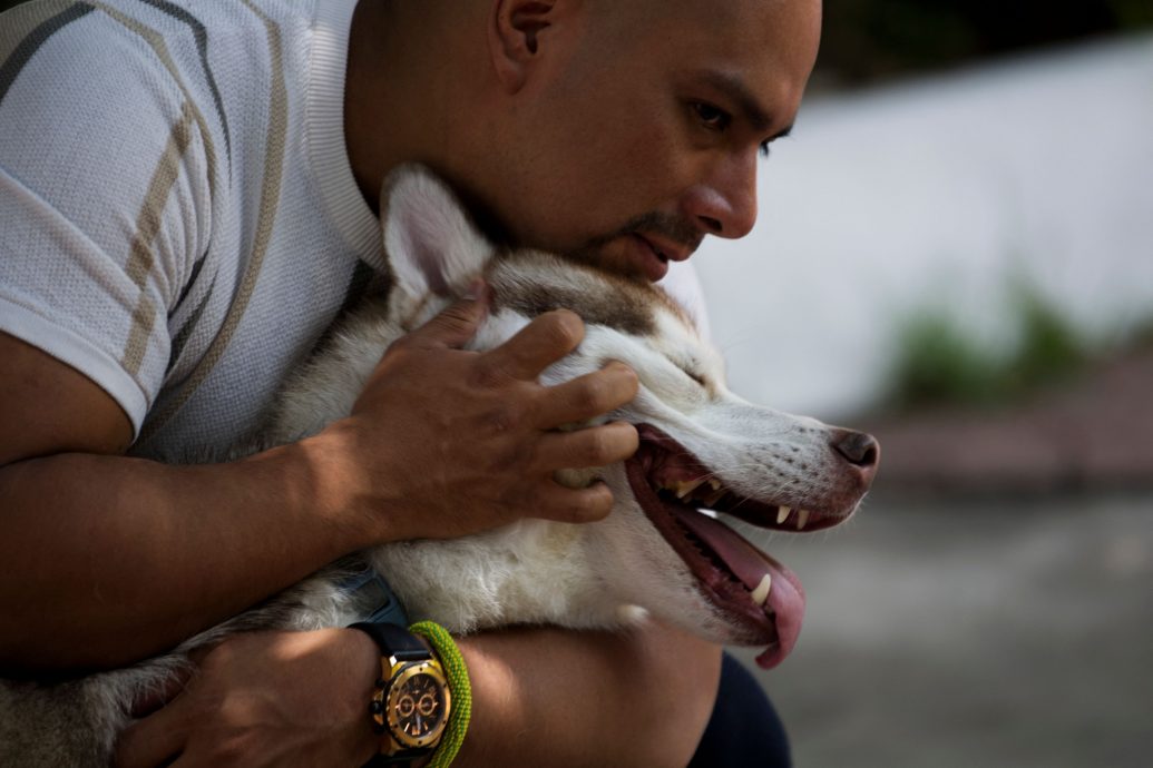 拼盘 未签 墨西哥医院超萌“动物治疗师” 抚慰病人
