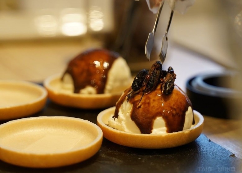 拼盘/东京餐厅推昆虫食品 冀大众接受