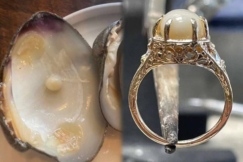 拼盘/百万分之一机率! 女子餐厅嗑海鲜 竟吃到“9.8公厘大珍珠”