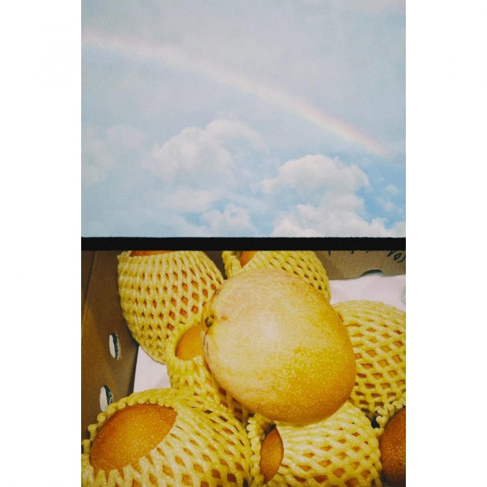 收到爸生前订的包裹 白安被1箱芒果惹哭