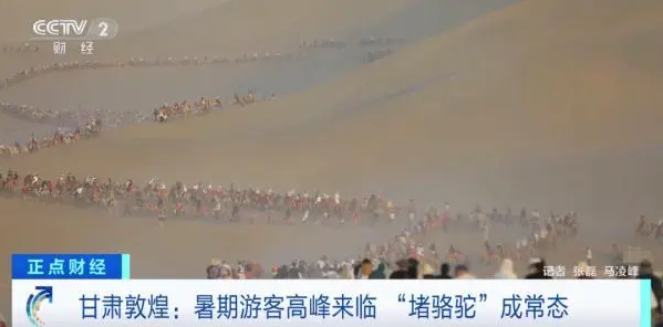 暑假游客高峰来临 敦煌再现“堵骆驼”