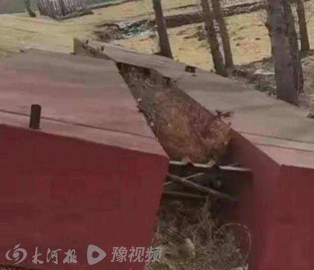 更新)看世界/男子花8.5万搭浮桥村民可少走70公里 一家18口竟被判刑