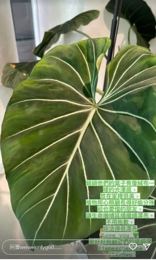 曹格疑因少东留言燃妒火飙骂前妻 少东正宫亲曝真相