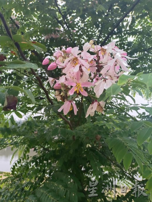 *(未下版)东游记:发掘百乐县公园的美
