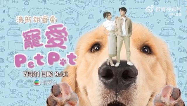 林夏薇周嘉洛新剧演情侣 被嫌零CP感像母子