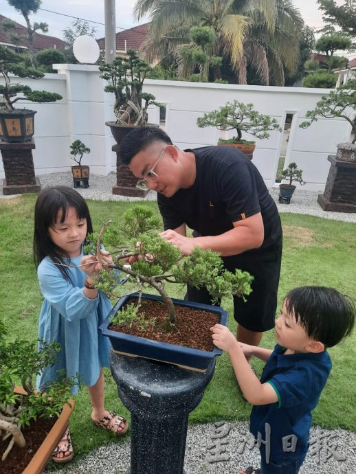 柔:今日面谱(7月20日刊):摆弄盆景,郑富威享受平静、疗愈的过程
