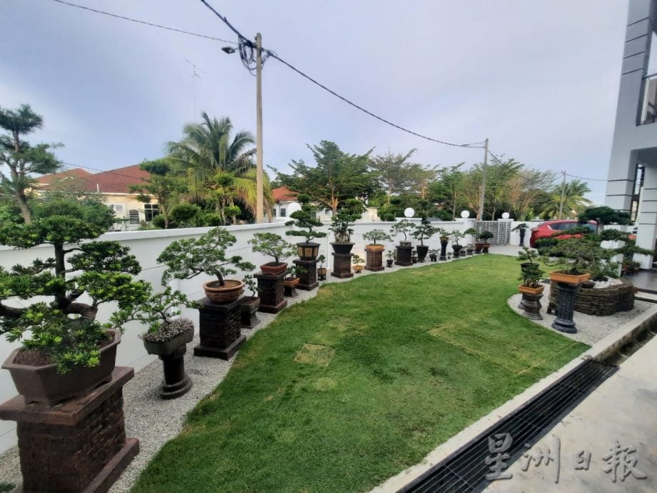 柔:今日面谱(7月20日刊):摆弄盆景,郑富威享受平静、疗愈的过程