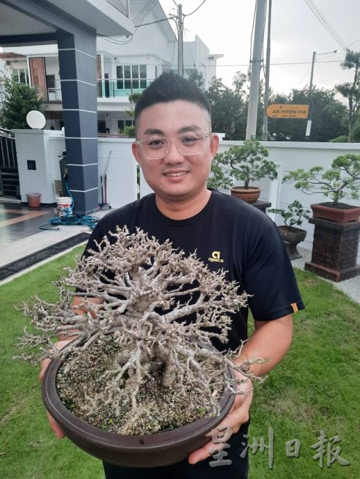 柔:今日面谱(7月20日刊):摆弄盆景,郑富威享受平静、疗愈的过程