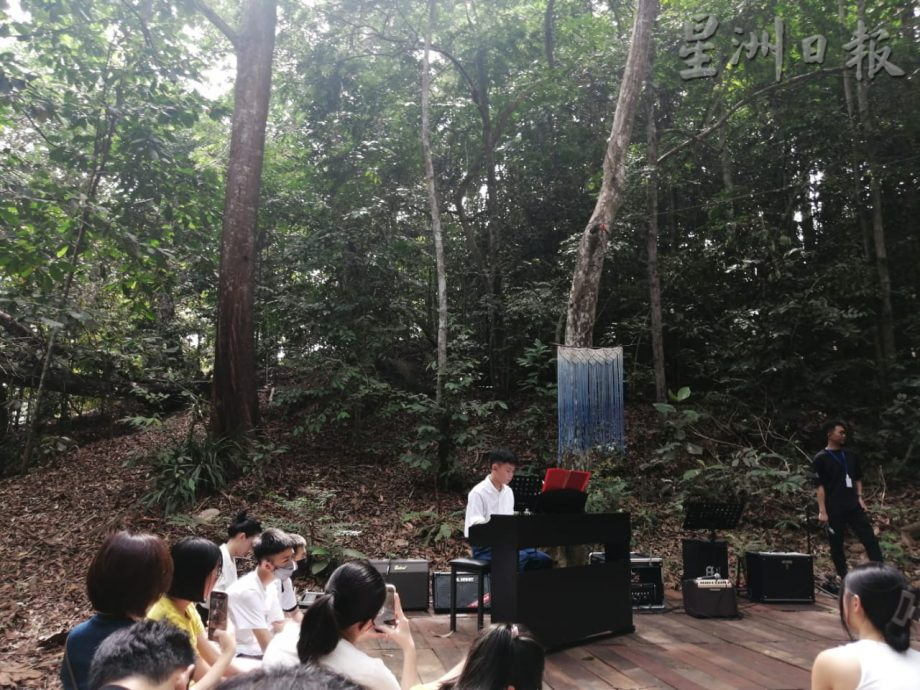 柔：新闻： “你听，森林在唱歌”音乐会奏响  神马舞蹈　大自然视听觉享受