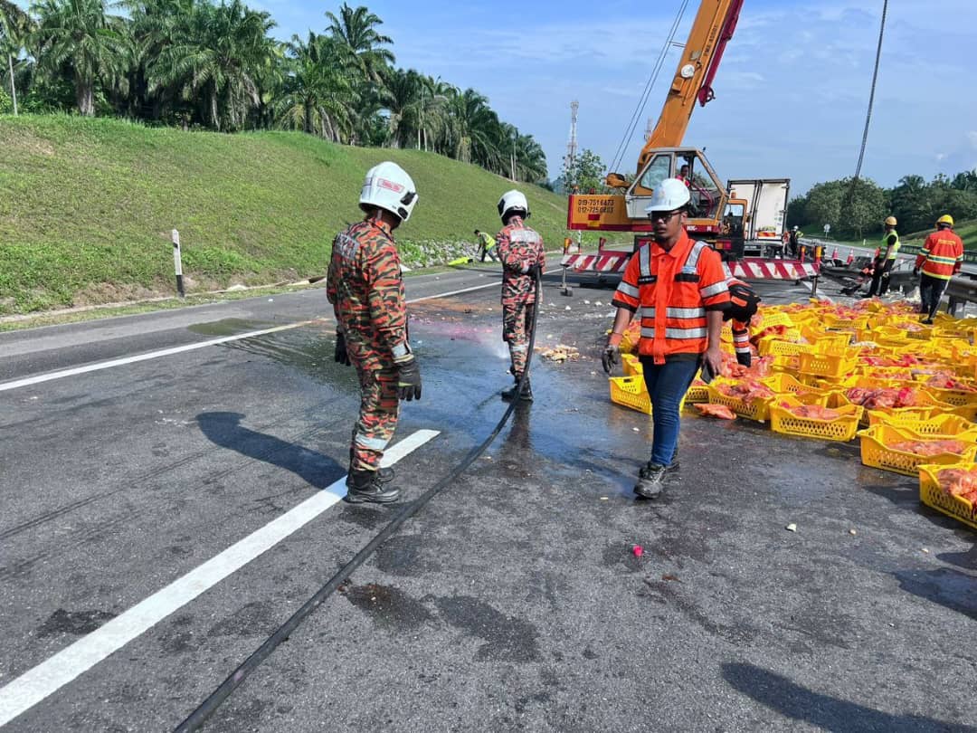 柔:新闻:货车与汽车相撞侧翻 冷冻鸡散满路面