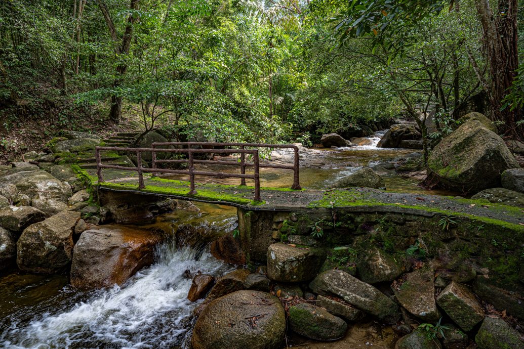 柔:新闻:金山瀑布7月8日重新开放,3天嘉年华免费入场