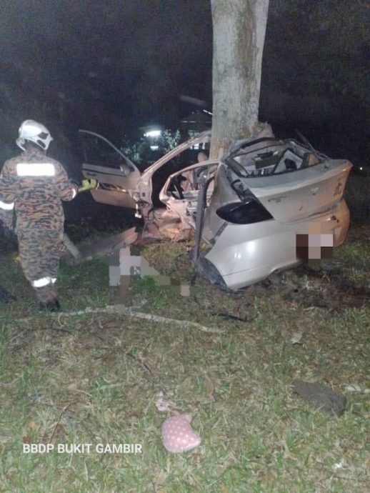 柔：汽车撞大树，华青抛车外丧命