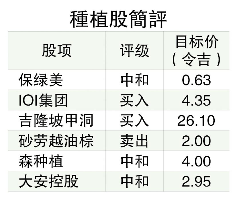 棕油局：供需平衡  棕油价游走3800至4000