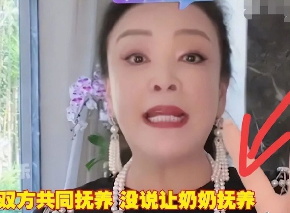 汪小菲带孩子回北京生变　张兰爆S妈刁难要求找担保人