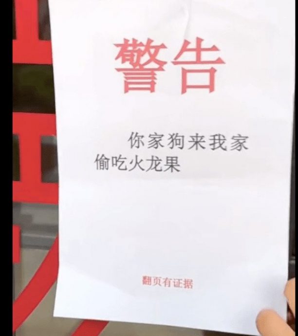 狗狗偷吃邻居火龙果被抓 怕主人罚装无辜惹网爆笑