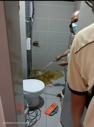 独家|公寓单位排污管破裂 底层住户崩溃:粪水全流入我家!