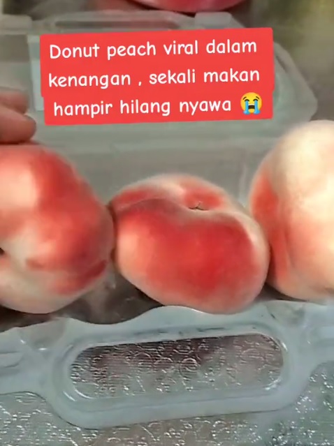 独家|女子吃完蟠桃送急症 营养师:果皮诱发过敏可能性大