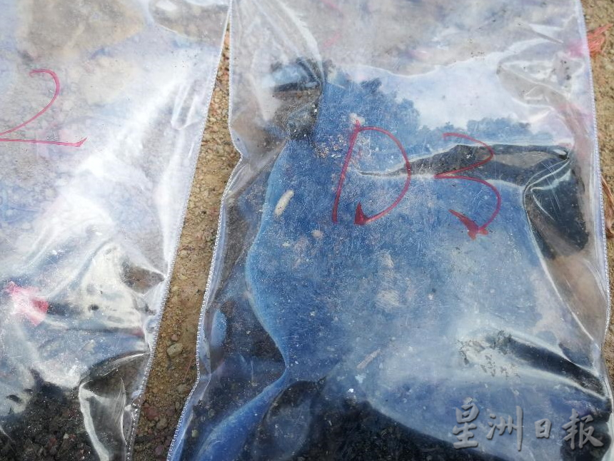 突击检查养鸡农场