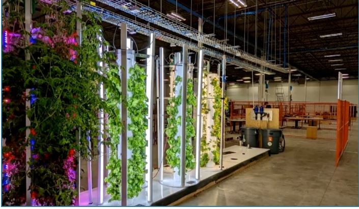 绿量无穷∕  空置办公楼“变身”垂直农场