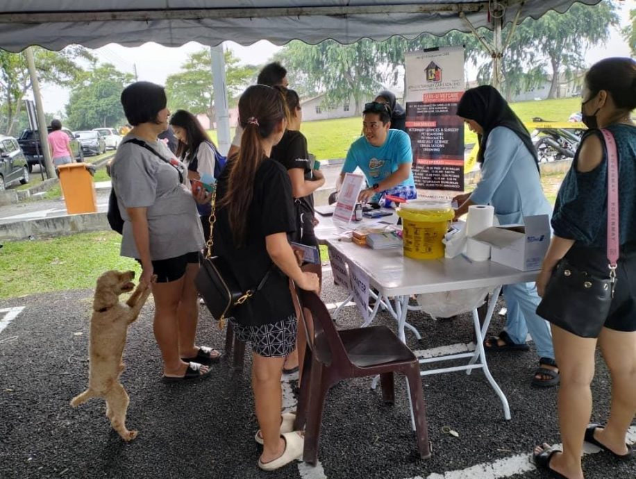 要付RM10还是罚RM1000? 柯鹏飞:巴生狗主快申请狗牌