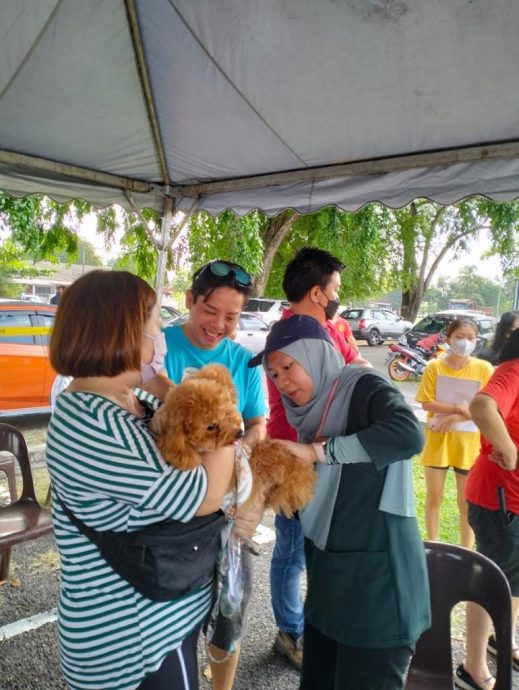 要付RM10还是罚RM1000? 柯鹏飞:巴生狗主快申请狗牌