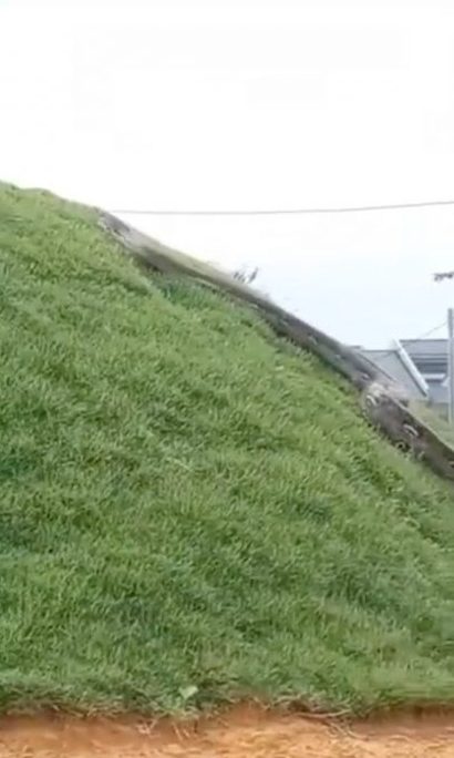  视频|巨蟒住宅爬山坡视频惹引  网民：AI效果？