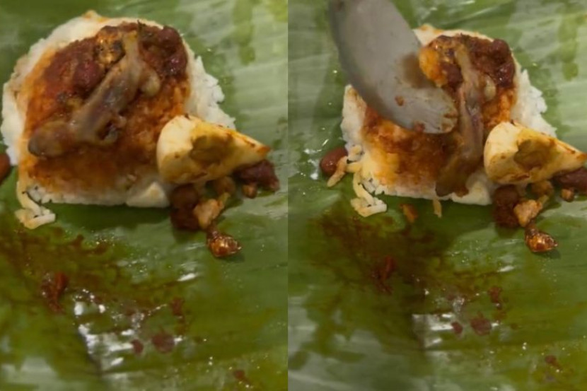 路边椰浆饭“加料”好恶心 “这么大只壁虎尸没看见？”