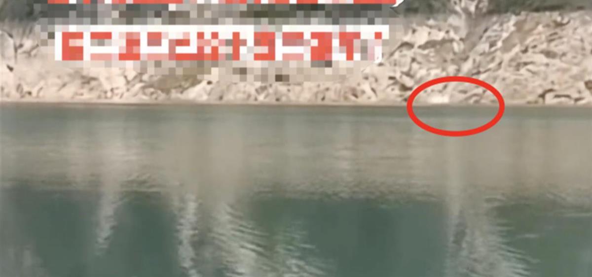 车辆山崖滚落江 5遇难3童伤