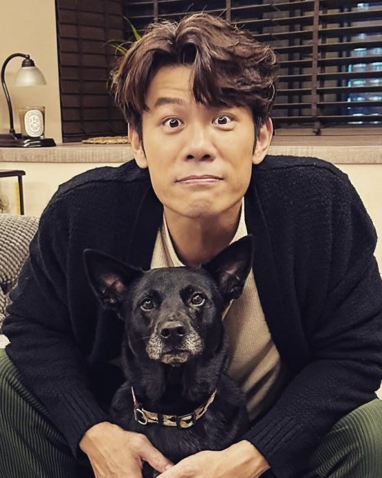  酒驾起步5秒就被拦 陈志强被逮认错道歉