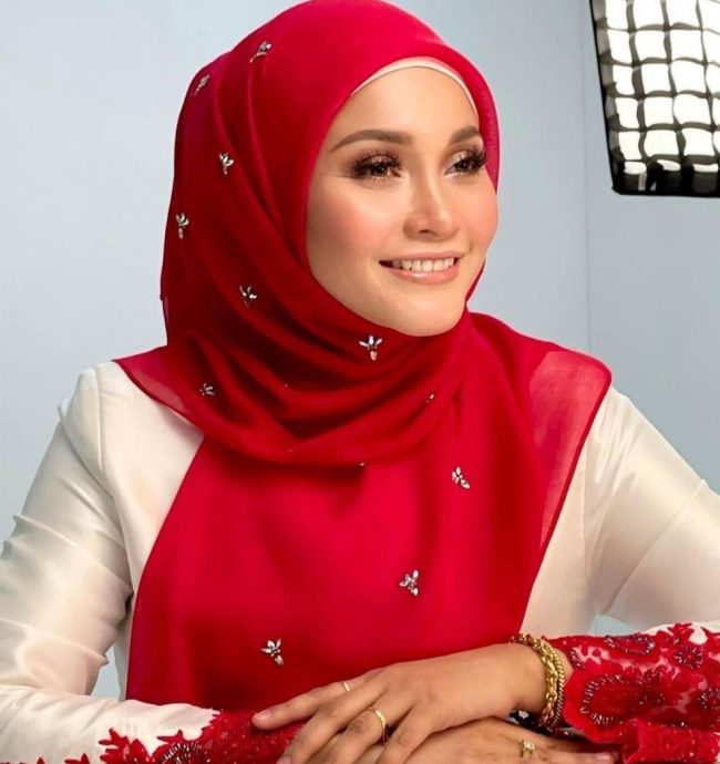 马来艺人公开政治立场 帮政党站台拉票