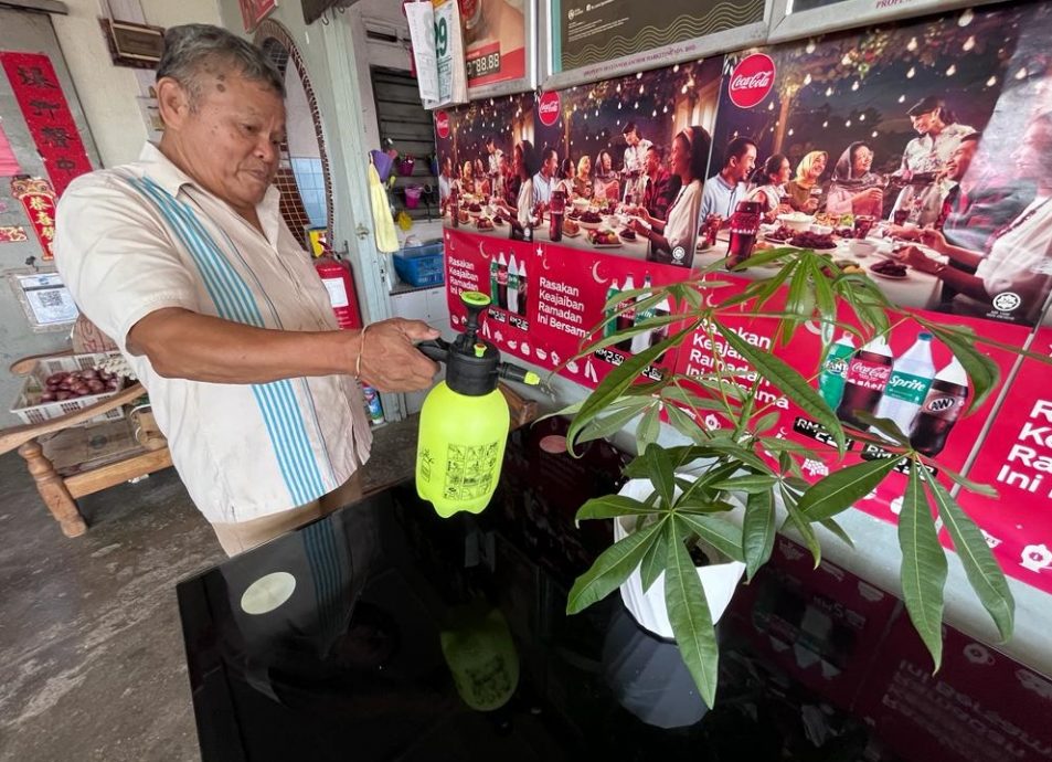 (23/7)有故事的人 ——花卉中找寻生命喜悦与满足感