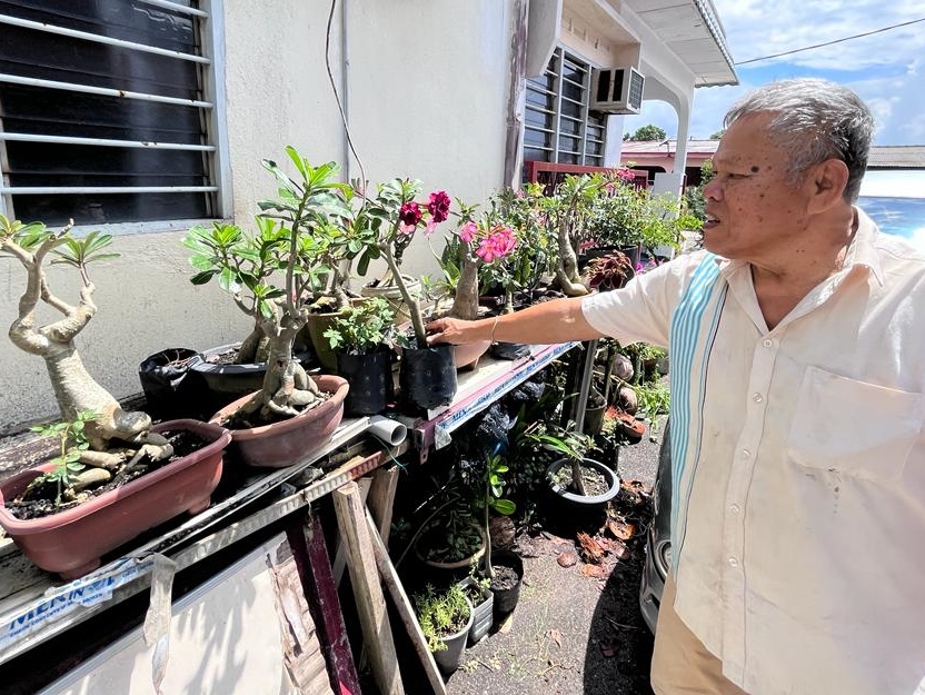 (23/7)有故事的人 ——花卉中找寻生命喜悦与满足感
