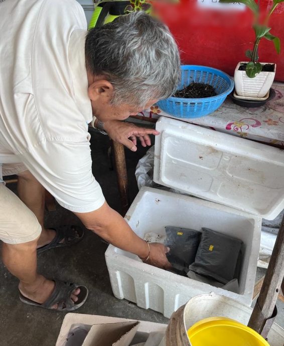 (23/7)有故事的人 ——花卉中找寻生命喜悦与满足感