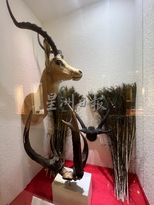 《用眼睛去旅游》:大马皇家关税局博物馆(中篇)