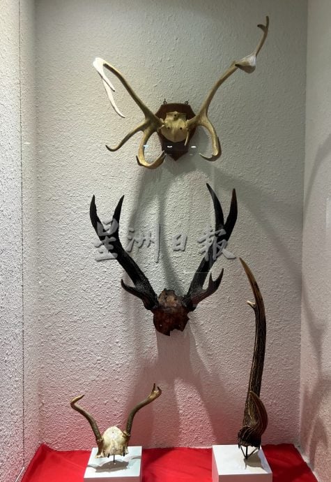 《用眼睛去旅游》:大马皇家关税局博物馆(中篇)