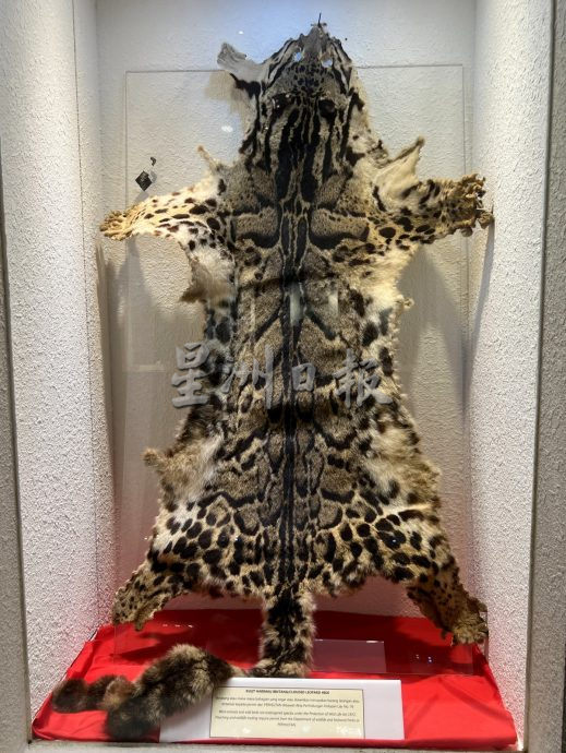 《用眼睛去旅游》:大马皇家关税局博物馆(中篇)