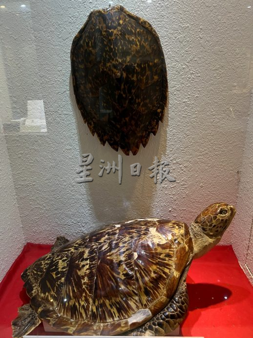 《用眼睛去旅游》:大马皇家关税局博物馆(中篇)