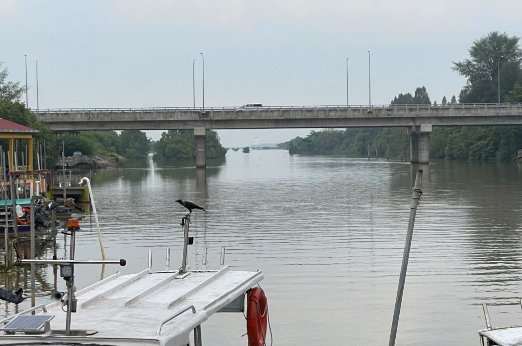 (古城封面主文)吉里望涌现成群水母及大魟鱼?渔夫直呼不可能!