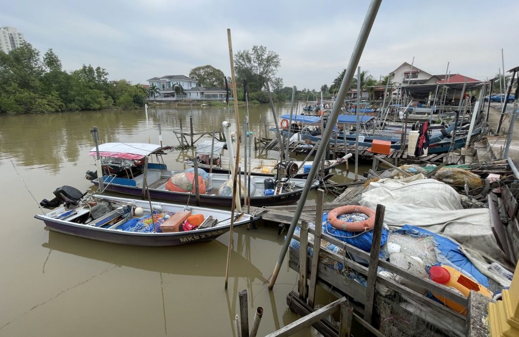 (古城封面主文)吉里望涌现成群水母及大魟鱼?渔夫直呼不可能!