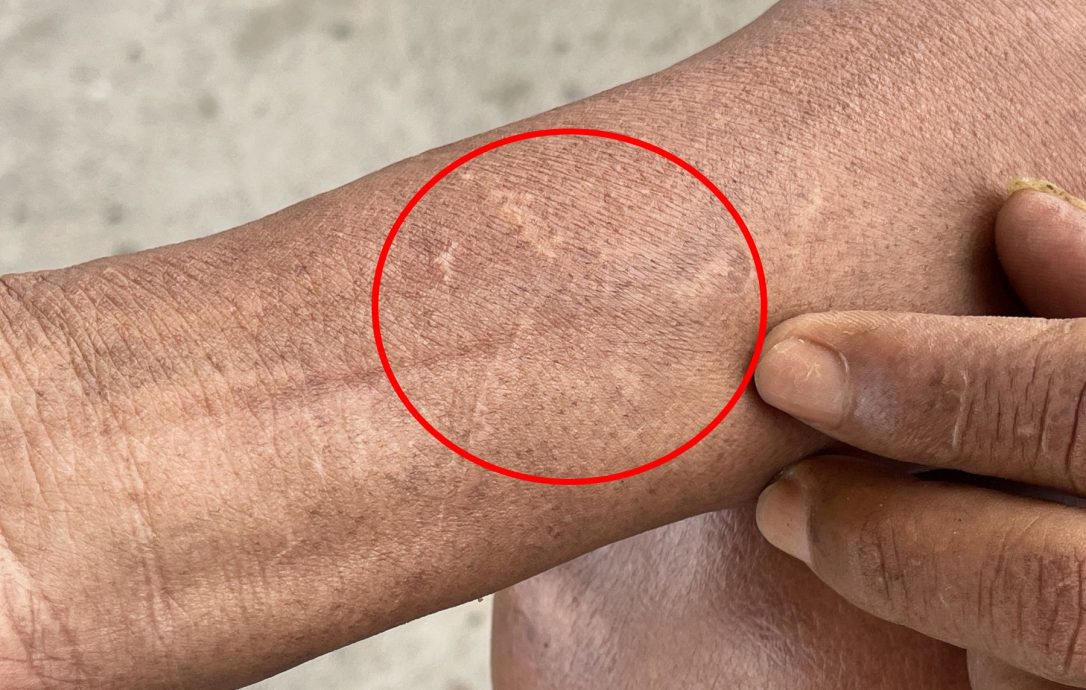 (古城封面主文)吉里望涌现成群水母及大魟鱼?渔夫直呼不可能!