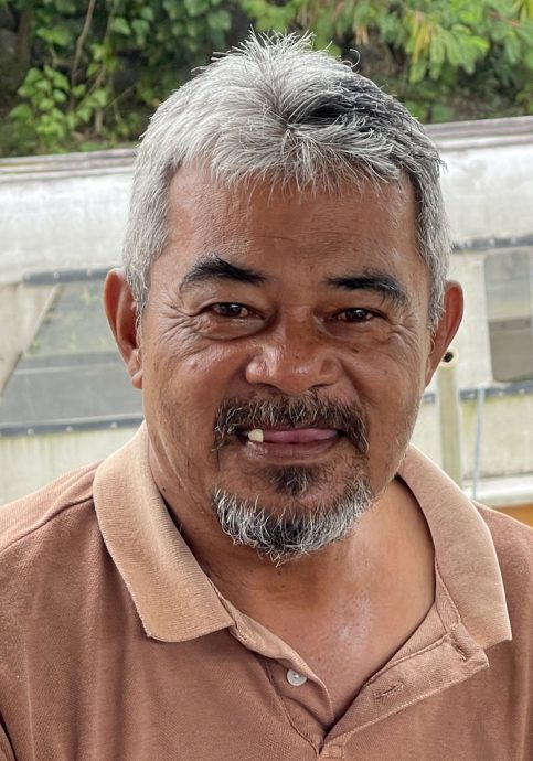 (古城封面主文)吉里望涌现成群水母及大魟鱼?渔夫直呼不可能!