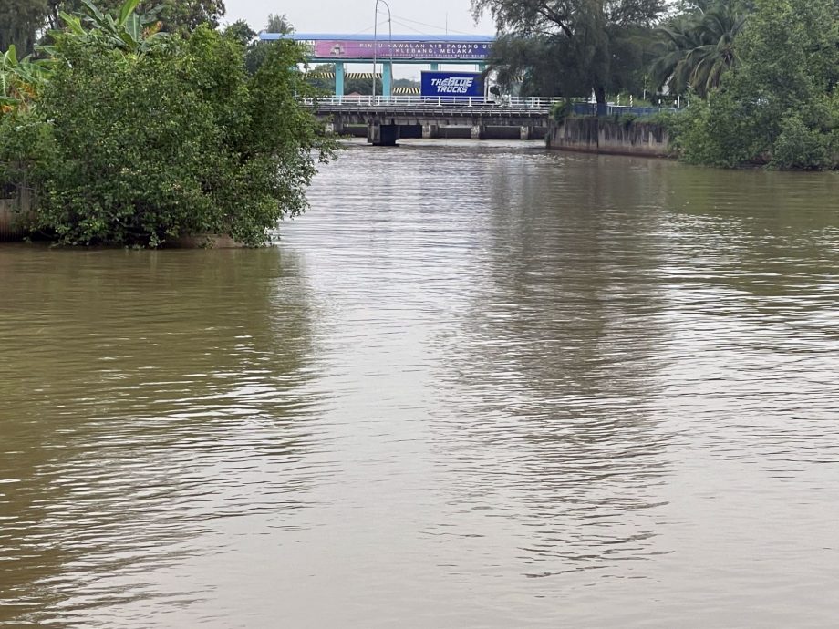 (古城封面主文)吉里望涌现成群水母及大魟鱼?渔夫直呼不可能!