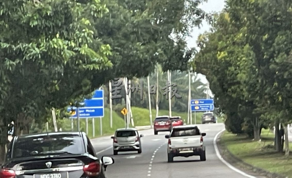 大树枝桠横跨路面成隧道·AMJ大道如弃婴