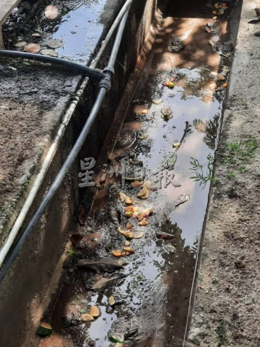 (古城封面主文)沟渠严重阻塞 吉里望广场飘臭 晨运者受不了