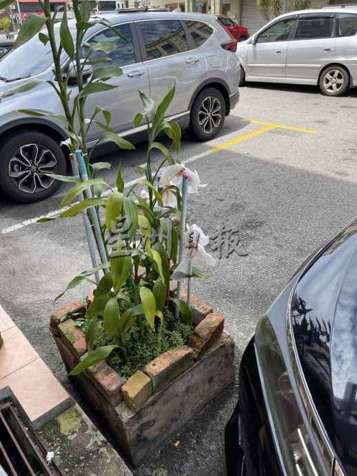 （古城第三版主文）停车格被各种霸占·谁来管管？