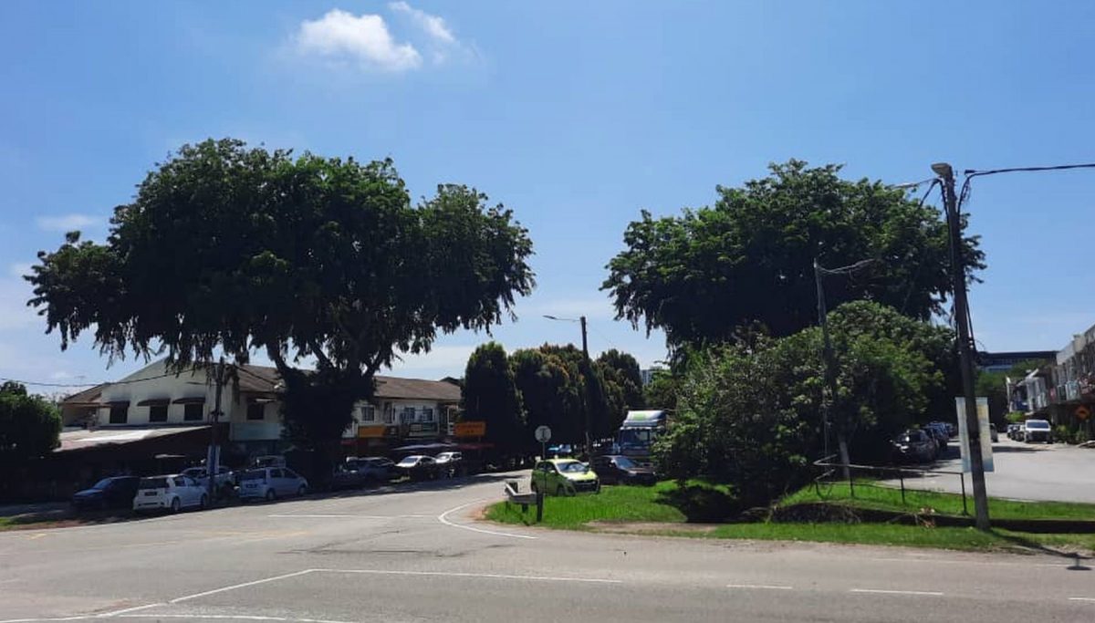 (古城第三版主文)武吉波浪大树倒下,压4车